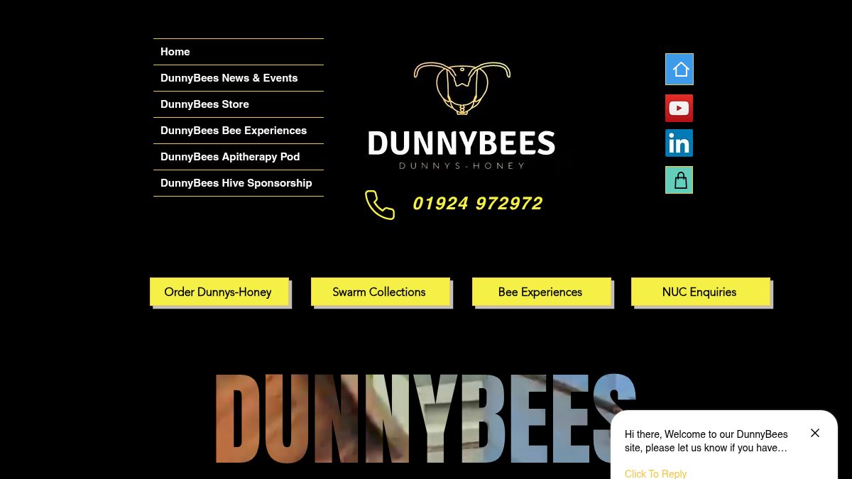Dunny Bees