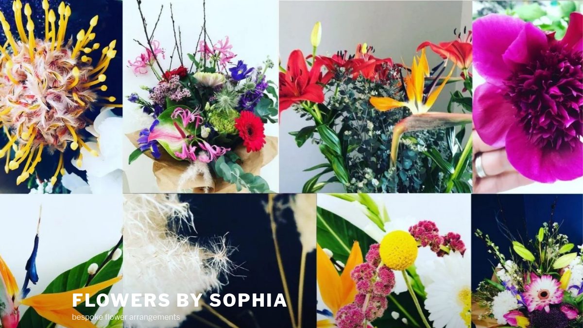 Flowers by Sophia